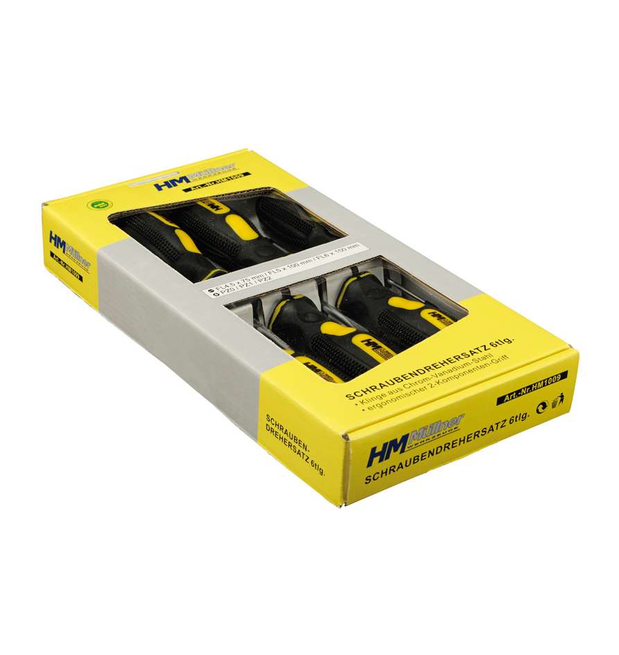 [HM1009] Schraubendrehersatz 6 tlg. FL, PZ, 2-K-Griff, SB