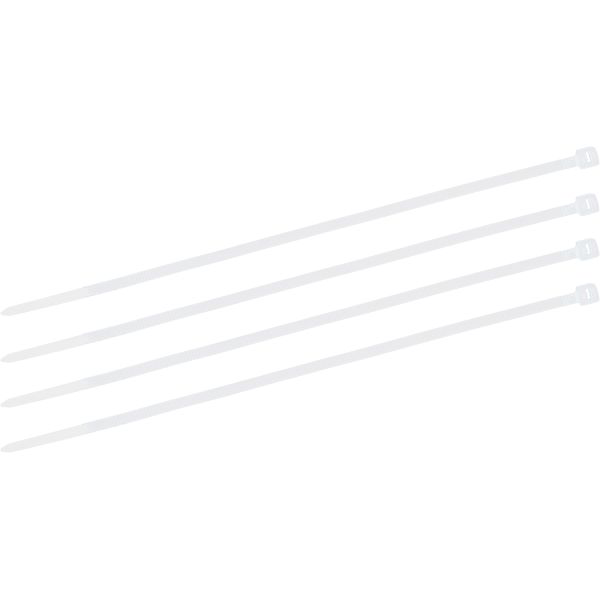 [TRIKBT300] Kabelbinder 300x4,6mm, 100 St. transparent, Polyamid - ATTACHES DE CÂBLE