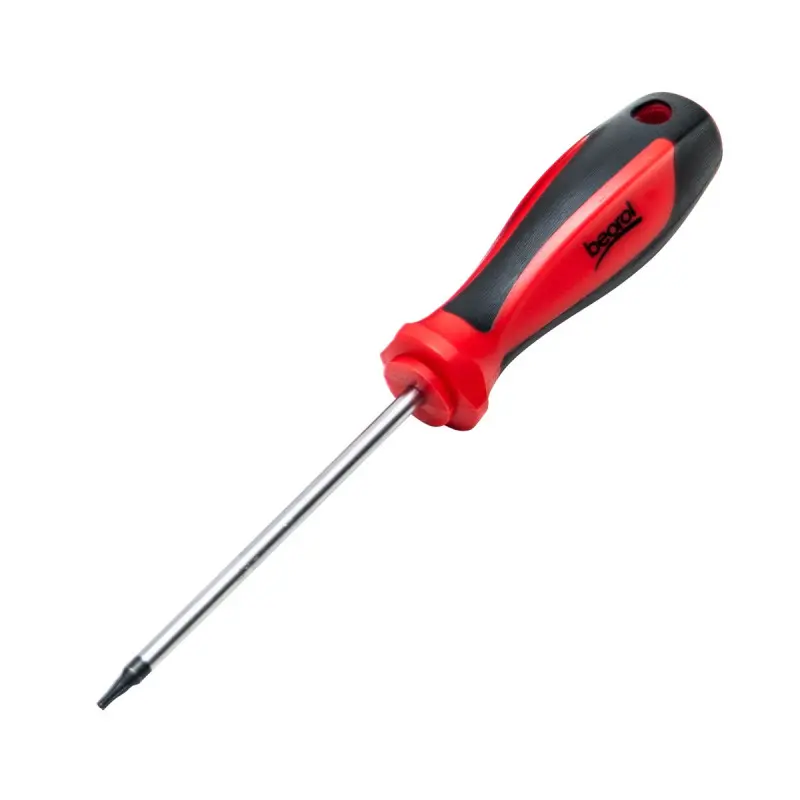[BEOOT10x100] Screwdriver T 100 (T10)